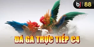 đá gà trực tiếp C4