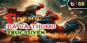 Trực Tiếp Đá Gà Thomo